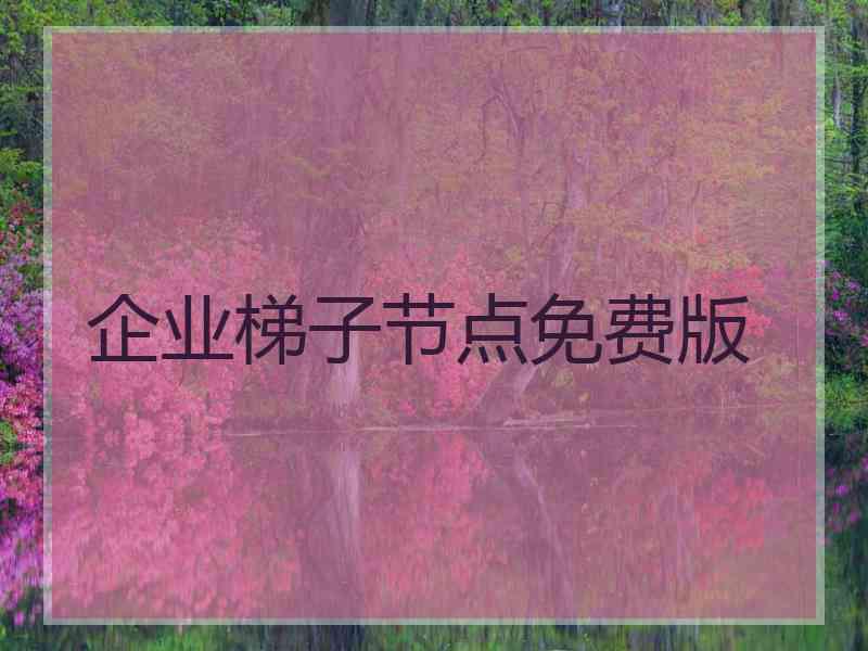 企业梯子节点免费版