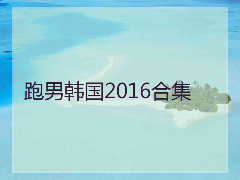 跑男韩国2016合集