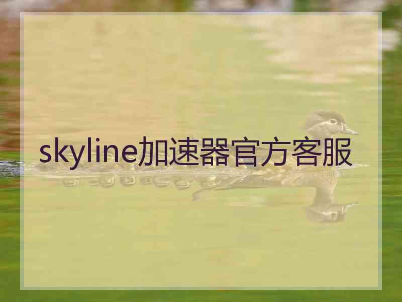 skyline加速器官方客服