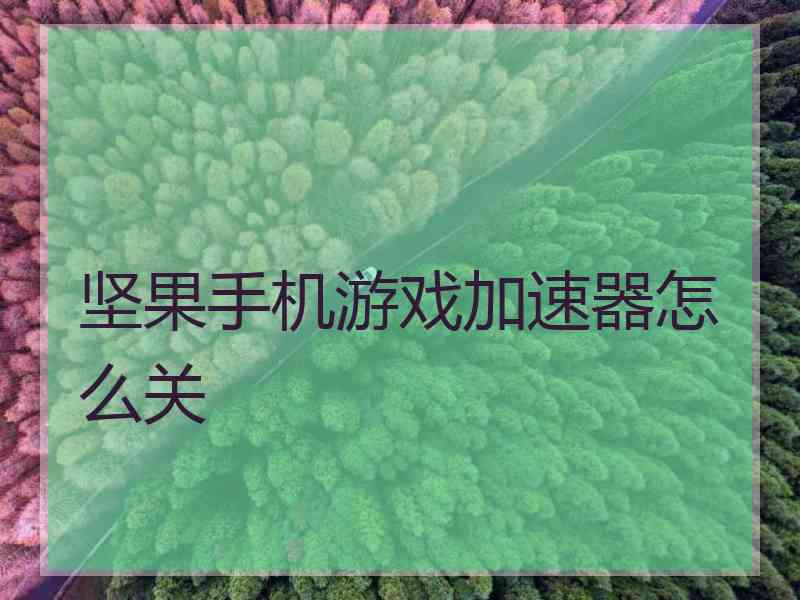 坚果手机游戏加速器怎么关