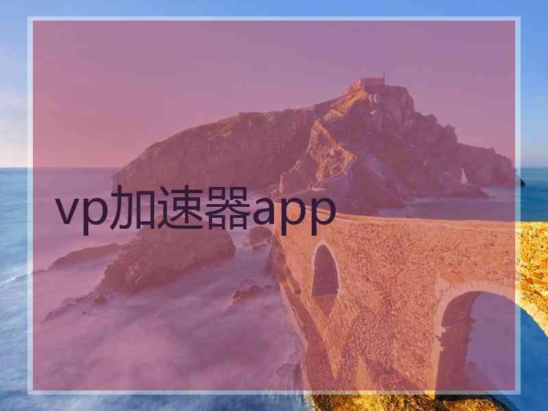 vp加速器app