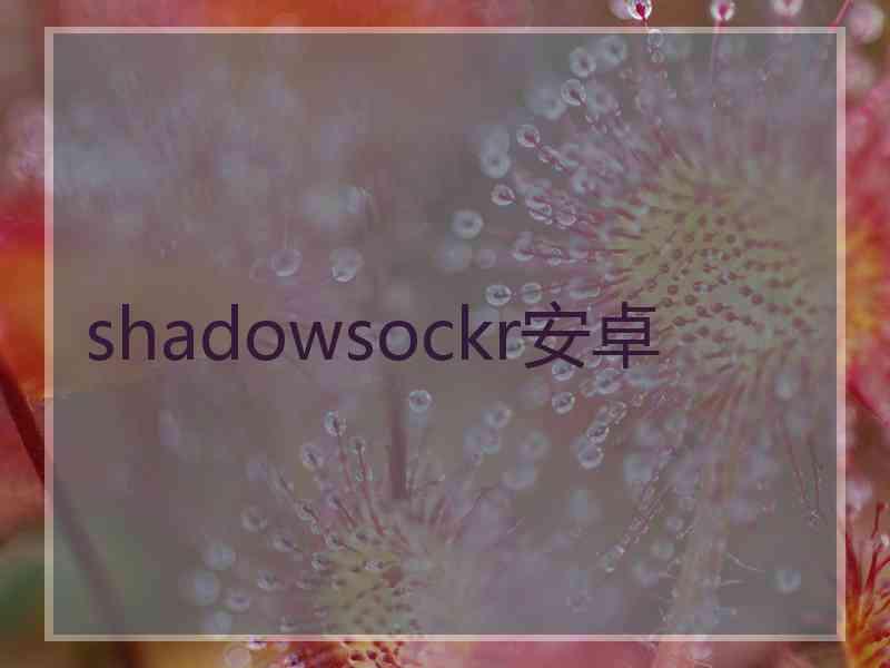 shadowsockr安卓