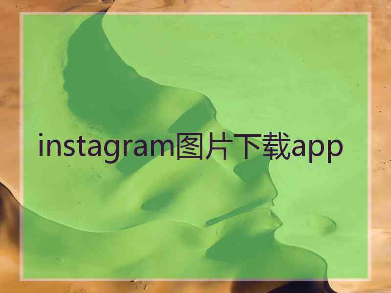 instagram图片下载app