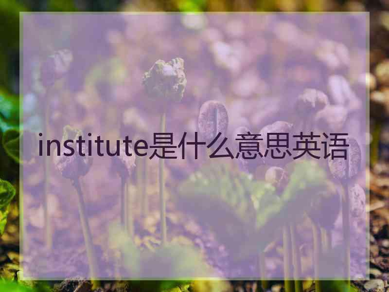 institute是什么意思英语