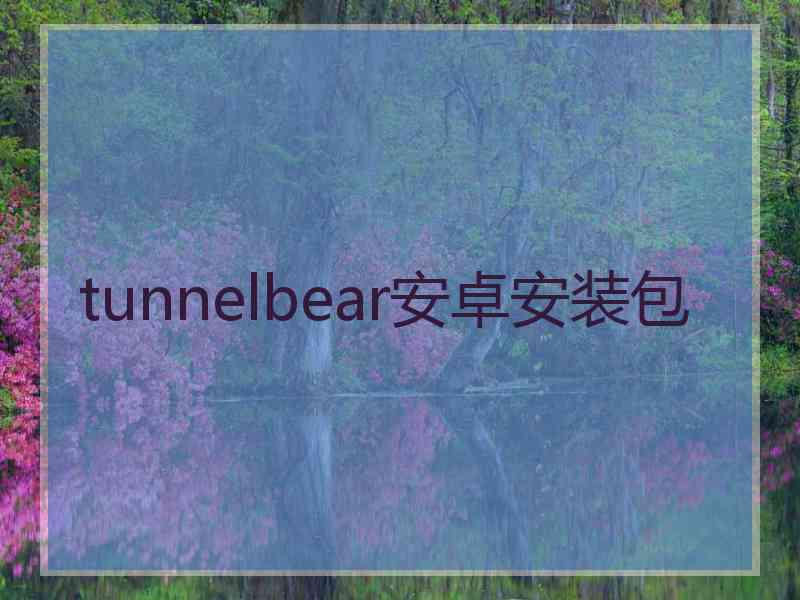 tunnelbear安卓安装包