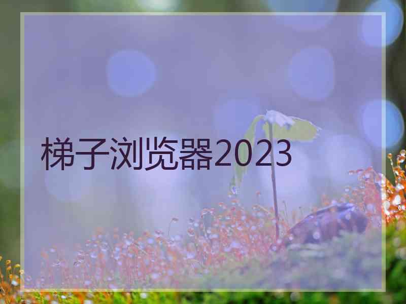 梯子浏览器2023