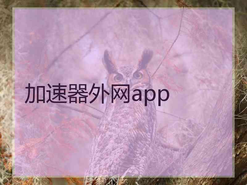 加速器外网app