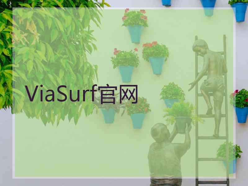 ViaSurf官网