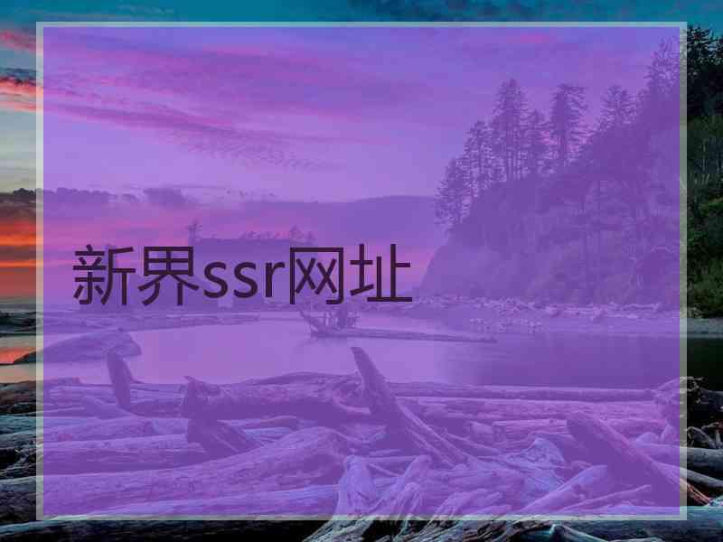 新界ssr网址