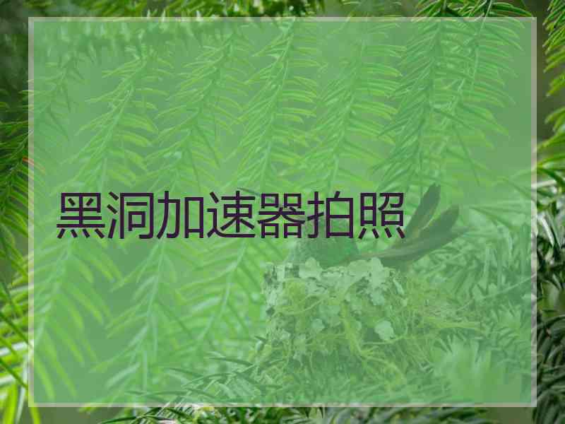 黑洞加速器拍照