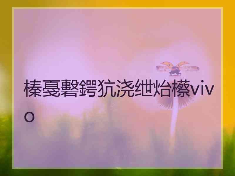 榛戞礊鍔犺浇绁炲櫒vivo