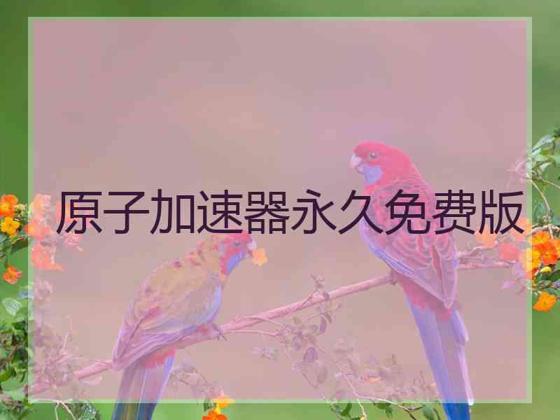 原子加速器永久免费版