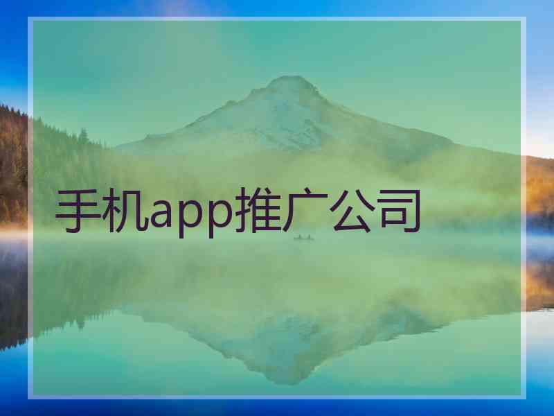 手机app推广公司