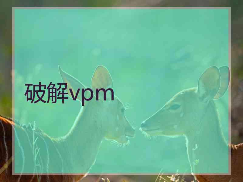 破解vpm