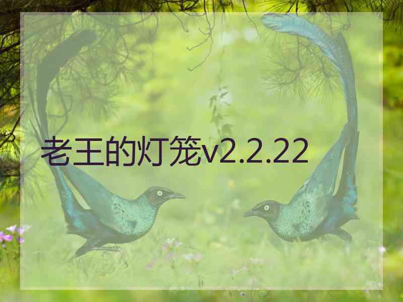 老王的灯笼v2.2.22