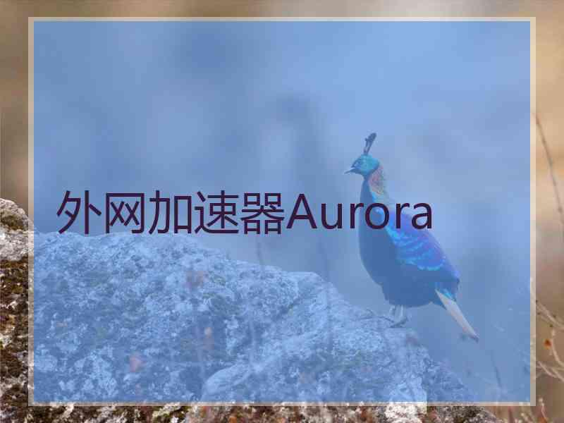 外网加速器Aurora