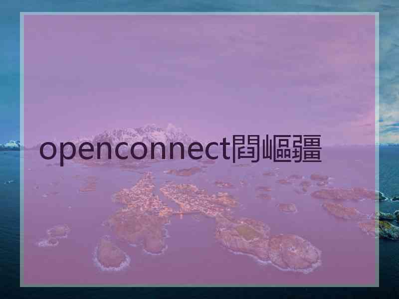 openconnect閰嶇疆