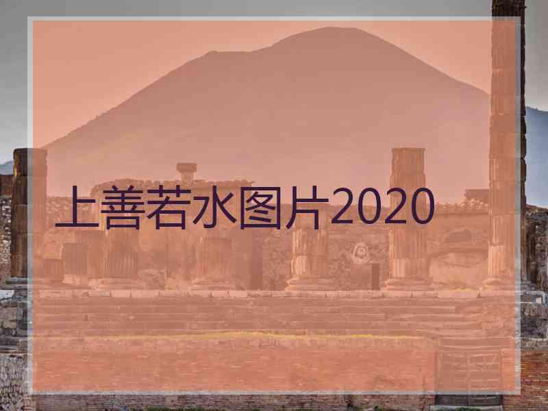 上善若水图片2020