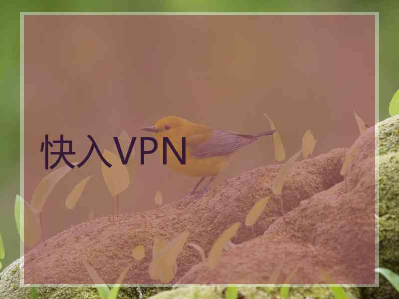 快入VPN