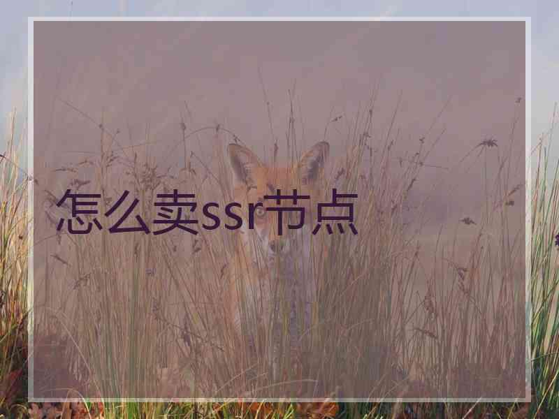 怎么卖ssr节点