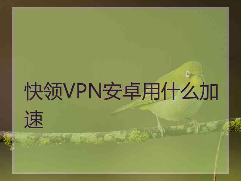 快领VPN安卓用什么加速