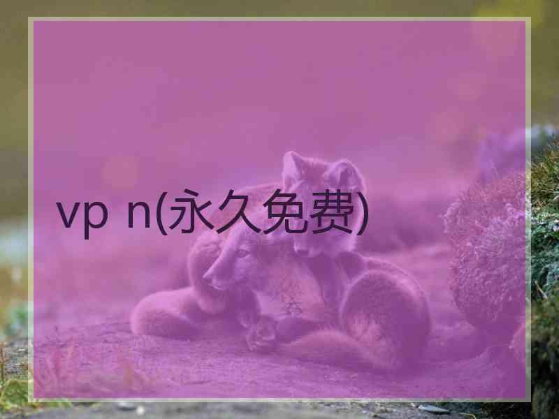 vp n(永久免费)