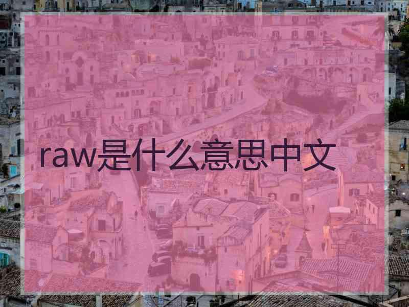 raw是什么意思中文