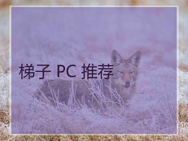 梯子 PC 推荐