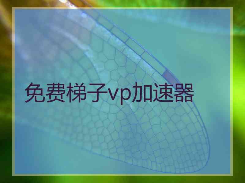 免费梯子vp加速器