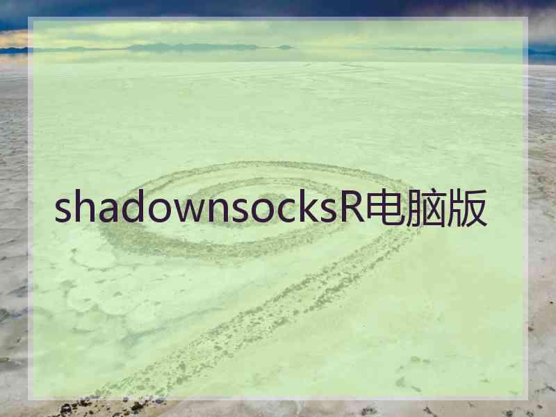 shadownsocksR电脑版