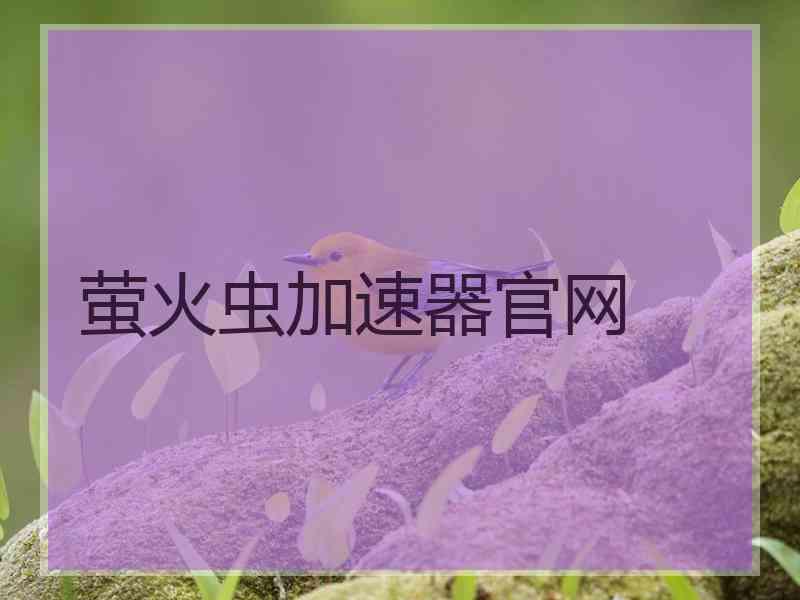 萤火虫加速器官网