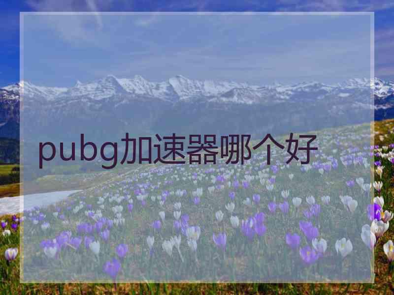 pubg加速器哪个好