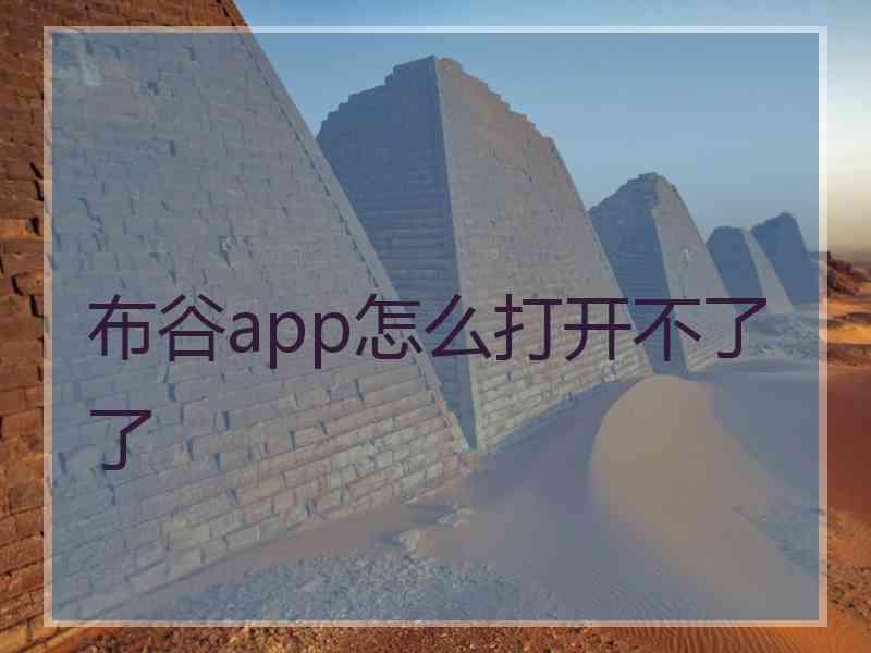 布谷app怎么打开不了了