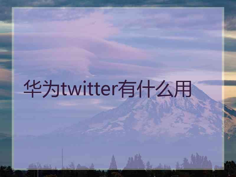 华为twitter有什么用