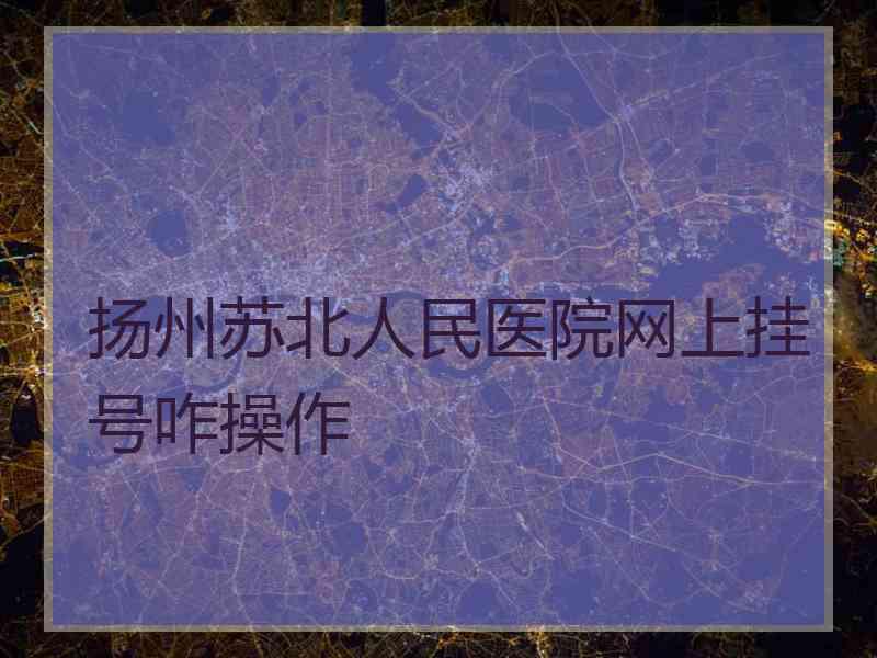 扬州苏北人民医院网上挂号咋操作