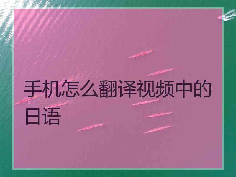 手机怎么翻译视频中的日语