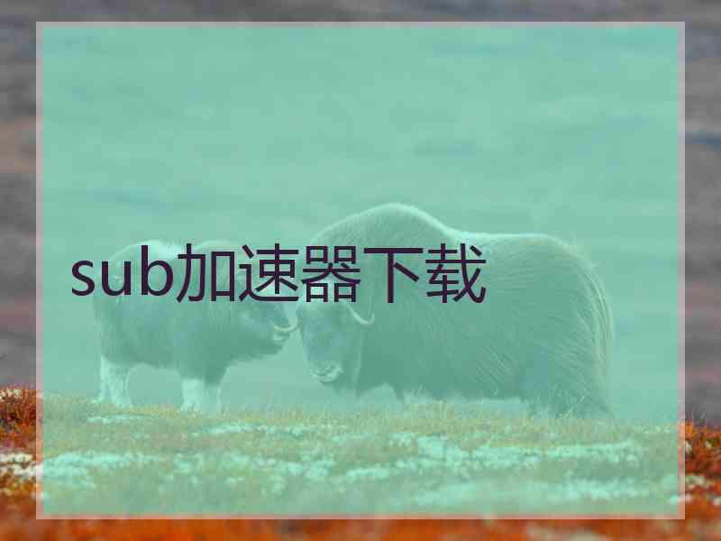 sub加速器下载