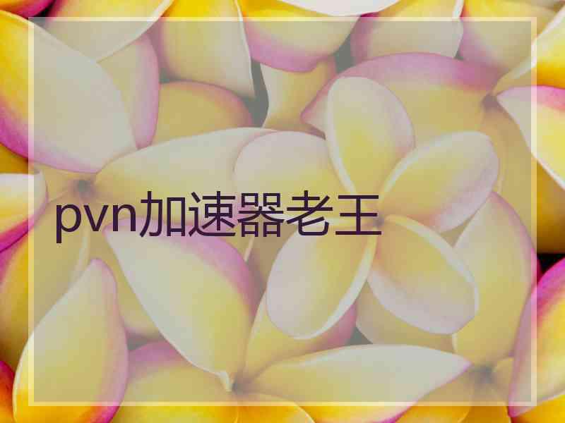 pvn加速器老王