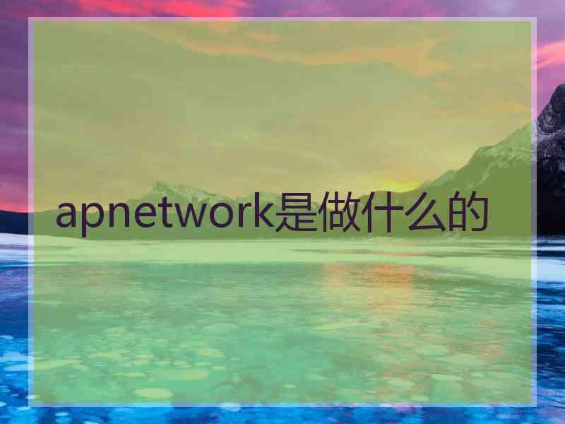 apnetwork是做什么的