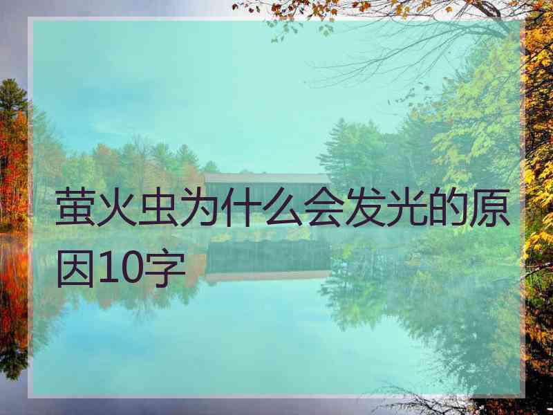 萤火虫为什么会发光的原因10字