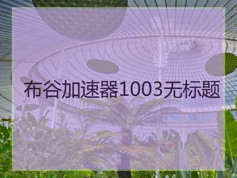 布谷加速器1003无标题