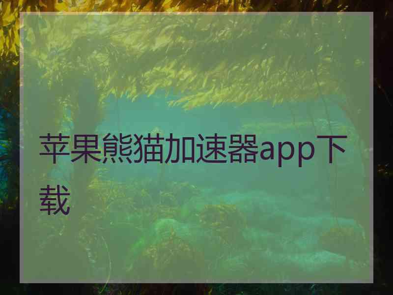 苹果熊猫加速器app下载