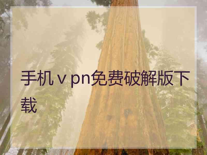 手机ⅴpn免费破解版下载