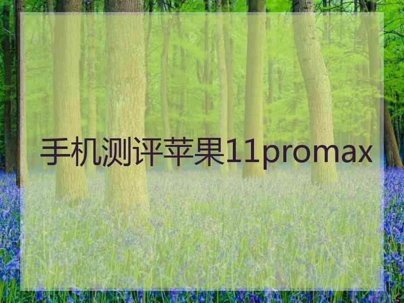 手机测评苹果11promax