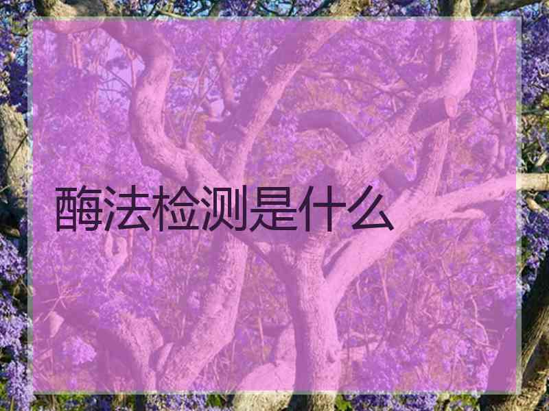 酶法检测是什么