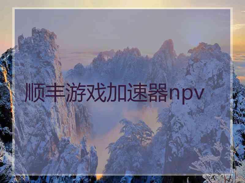 顺丰游戏加速器npv