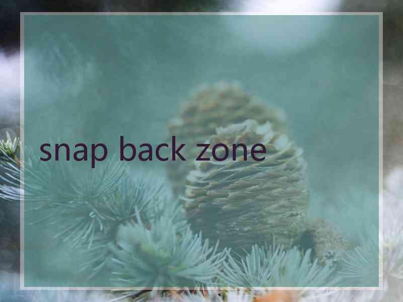 snap back zone