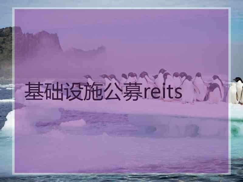 基础设施公募reits