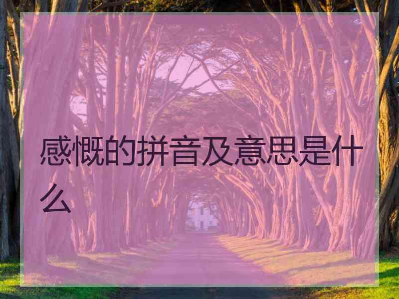 感慨的拼音及意思是什么