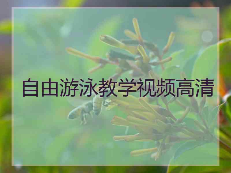 自由游泳教学视频高清